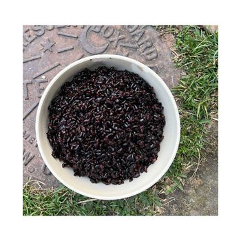 Black Rice Bulk Black Rice Pure Natural Black Rice for sale in good price from AMAC GOLD AND DIAMOND METALS SUPPLIER Black Rice Bulk Black Rice Pure Natural Black Rice for sale in good price - AMAC GOLD AND DIAMOND METALS SUPPLIER - Germany