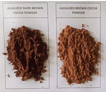 High Quality - Natural/Alkalized Cocoa Powder
