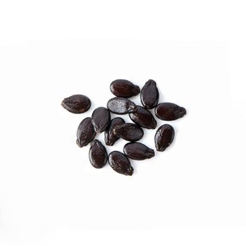 Bulk watermelon seeds available for wholesale buyers and suppliers from Mundus Exports Pty Ltd Bulk watermelon seeds available for wholesale buyers and suppliers - Mundus Exports Pty Ltd - South Africa