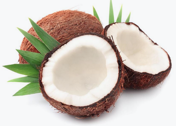 Semi Huked Coconut - Cloud Circle EXIM - India