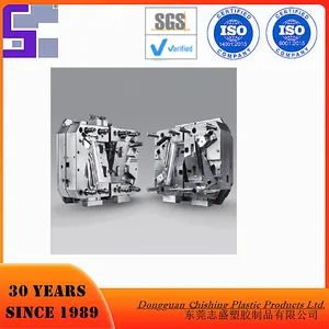 Factory Customized High Precision Plastic Mould Maker Injection Mold Manufacturer Mouldings Custom - Dongguan Chi Shing Plastic Products Ltd. - China