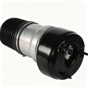 Car Parts for Mercedes-Benz W221/216-4matic Air Shock Absorber 2213200538 with Ads - Qingdao Hanfude Auto Parts Co., Ltd. - China