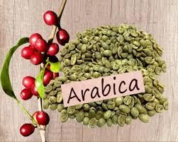Arabica Washed from Foodmax Vietnam Arabica Washed – product photo, Unwashed Arabica Coffee products found from trusted suppliers, wholesalers, manufacturers & exporters Listing