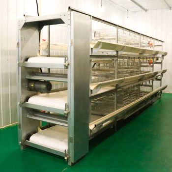 Prefab Tunnel Ventilation Broiler Cages with Automatic Poultry Animal Husbandry Equipment - WEIFANG U-BEST HUSBANDRY EQUIPMENT CO.,LTD. - China