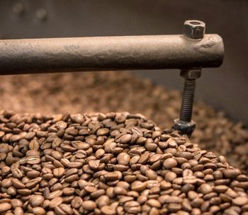 Hot Selling Arabica & Robusta Green Coffee Beans Fermented Roasted & Blended in Bulk From Belgium 50kg PP Bag Grade 1 - AGRONOVA - United States
