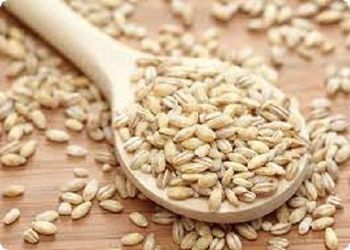 Grains Wheat Corn Oilseeds Barley Sorghum - ROM BAU GMBH - Germany