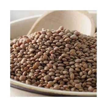 Bulk lentil seeds available at competitive prices ideal for wholesalers and exporters - AMAC GOLD AND DIAMOND METALS SUPPLIER - Germany