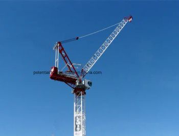 Zenith Luffing Crane Tower Crane for Construction - Shenzhen Potential Industries Co., Ltd. - China