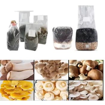 High Transparent Thickened PP Grow Bags for Mushroom Cultivation Full Oxygen Permeable Brick-Shaped Fungus Grow Bags - Haiyang Huike Packing Co., Ltd. - China