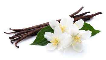 NATURAL BOURBON VANILLA PLANIFOLIA PODS - SEFCOM - Italy