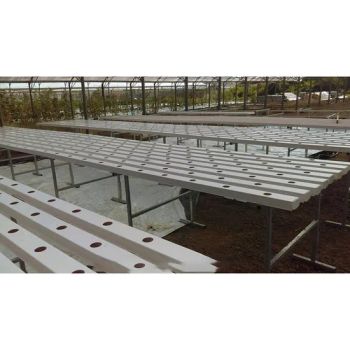 Nft Hydroponics System Designed for Fast Growing Asian Leafy Vegetable Crops - Weifang Nengwei Agricultural Technology Co., Ltd. - China