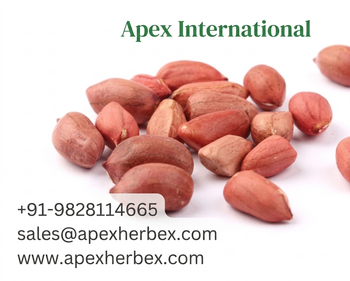 Bold Peanut 6070, Bold Peanut 60 70,Bold Peanuts Kernels,Peanut, Peanuts, Arachis hypogaea, Bold Peanut, Indian Bold Peanut, Indian Bold Peanuts, Peanuts Kernels, Peanut With Shell, Peanuts, Indian Peanut,Bold Peanuts, Bold Peanut Supplier From India. - APEX INTERNATIONAL - India