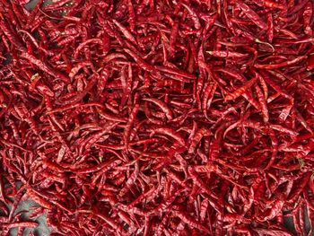 Spices & Dehydrated Vegetables Origin Asia, India Packaging 1 kg, 250 g, 500 g, other sizes are also availabe Product Type Dehydrated Vegetables, Spices, Spices, Seasonings & Flavors - CASE TRADING CORPORATION - India