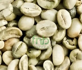 Sumatra Robusta Coffee - Grade 1 – product photo, Roasted Robusta Coffee Beans products found from trusted suppliers, wholesalers, manufacturers & exporters Listing