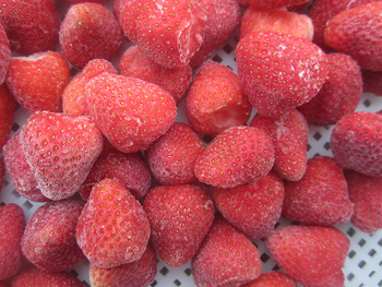 Frozen Strawberry Texture Firm Brix Level High Flavor Intensely Sweet Intended Use Jams, Yogurts, Gourmet - Haotian Foods Company - China