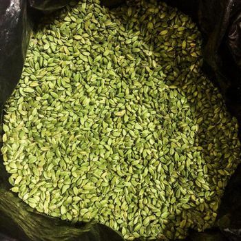 Green Cardamom for sale - PRIME FIELD AGRICULTURE LIMITED - United States