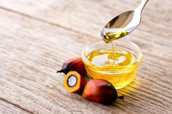 Palm Oil Wholesale from AgronoMarket Palm Oil Wholesale - AgronoMarket - United States