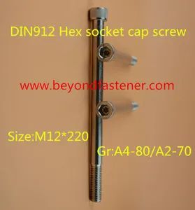 Hex Socket Cap Screw DIN912/7984/Bolts - Beyond Industry Groups Ltd. - China