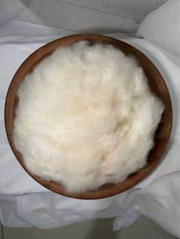 Super Fine Kapok Fiber (Ready Stock 40MT) - PT UNIVERSAL KAPOK INDONESIA - Indonesia