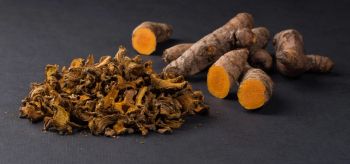 Dried Turmeric Texture Dry Form Dried Rhizome Color Vibrant Yellow Flavor Earthly, Bitter Active Compound Curcumin Cuisine Uses South Asian And Middle Eastern - Joy Optima Group - Indonesia