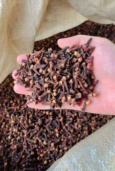 CLOVES Max. Moisture (%) ≤ 12% Grade AB6 Lalpari Cloves Place of Origin - Timor Sea Grow - Indonesia