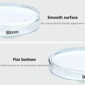 High-Quality Cost-Effective Bacteriologic Cell Culture Dish Petri Dish - FUZHOU BORNI PHARMACEUTICAL SCI.& TECH.CO., LTD. - China