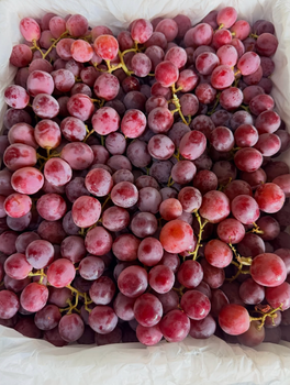 Enjoy Naturally Sweet Fresh Red Grapes |Carefully Cultivated Grapes In High Quality Vineyards 5Kg For Sale - Sosa Merchant Solutions - Austria