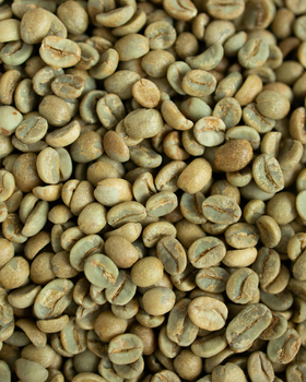 Organic Green Coffee - Chiapas