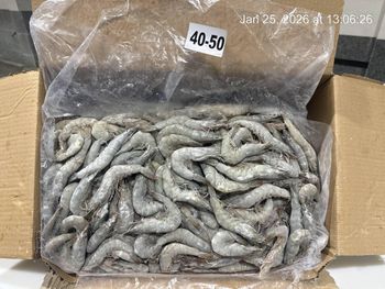 shrimp Texture Firm Taste Natural Features No Preservatives Application Wholesale, Retail, And Food Service Markets Packaging Options IQF And Block Frozen, Iqf And Block Frozen - dordaneh - Iran