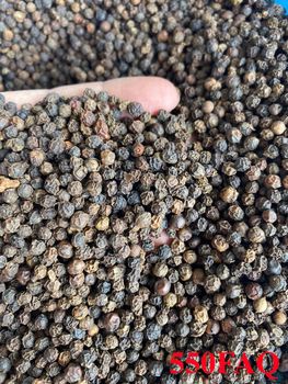 Black Pepper 550GL FAQ Grade FAQ Form Whole Origin Vietnam Delivery Form 25kg bag, 25kg/50kg per Bag, 50kg bag, Requirement - MINH ANH EXPORT CO., LTD - Vietnam