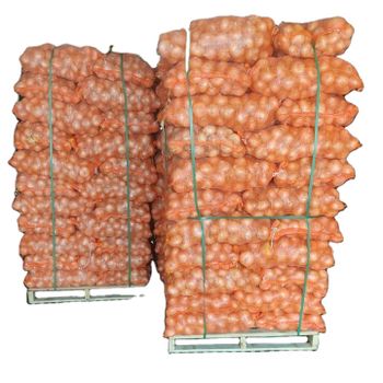 Yellow Onion new season fresh vegetables red yellow white peeled Quality Onion Exporters Pearl Yellow Fresh Onion From Egypt - Garlico For Import And Export - Egypt
