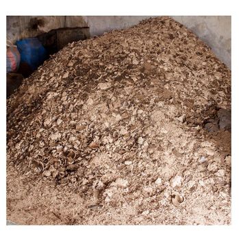 hot selling animal food palm kernel cake for Animal Feed PKC Organic Yes Origin Other Degree of Processing Natural - Exigentelaxia Unipessoal Lda - Portugal