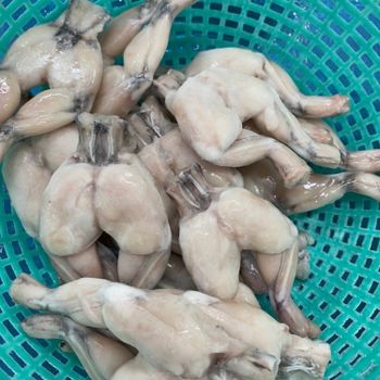 High quality Skinless Frozen Frog Legs bulk packing / vacuum bag from Vietnam - TANIS IMPORT & EXPORT COMPANY LIMITED - Vietnam