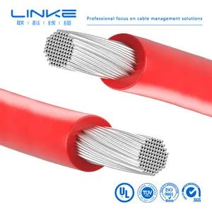 High Voltage 1000V Flexible Electrical Wires PVC Insulated Tinned Copper Electric Coil Wire Cable for New Energy Vehicles Photovoltaic Cable - Linke Cable Technology (DongGuan) CO.,LTD - China