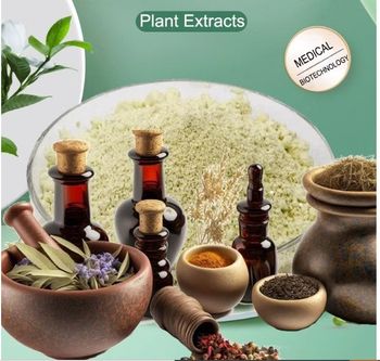 Blending Powder - SHREE SAI BIOTECH - India