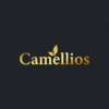 Product from CAMELLIOS LIMITED Product – product photo, Flavored Green Tea products found from trusted suppliers, wholesalers, manufacturers & exporters Listing