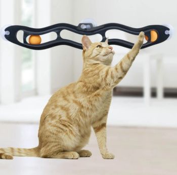 Cat Track Ball Toy with Sucker, Interactive Cat Toy, Window Suction Cup Trackball Pets Cat Toys, Funny Plastic Track Ping Pong Ball Toy Esg12561 - Ningbo Easyget Co., Ltd. - China