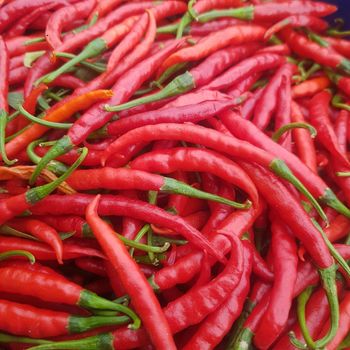 Fresh and dried chilli pepper Color Red Taste better Weight (kg) 100kg Heat Level Robust Form Fresh And Dried Flavor Vibrant And Full - MAA INTERNATIONAL INVESTMENTS CO.LTD  - Tanzania