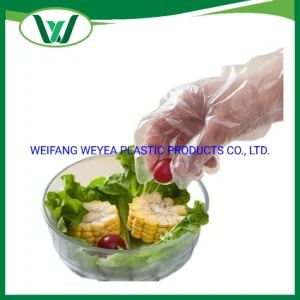 Individual Pack Disposable PE Gloves Food Industry Cleaning Protective Gloves - WEIFANG WEYEA PLASTIC PRODUCTS CO., LTD. - China