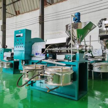 Commercial Peanut Walnut Pistachio Cashew Sunflower Seed Oil Press Machine Screw Presser - Qingdao Glad Engineering Technology Co., Ltd. - China