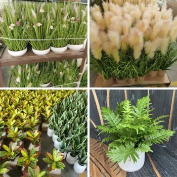 Customized Wholesale Levitating Artificial Plants for Home Decor - Cheng Yi Creation Company Ltd - China