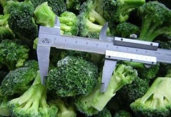 IQF Frozen Broccoli - Super Quality Supply HS Code 0710809090 Storage Temperature <-18℃ Type Agricultural Products Production Capacity 2000 - Jinan Gogo International Trade Co., Ltd. - China