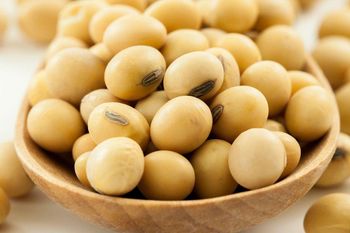 Best Quality Food Grade Dry Yellow Soybean Seed Non Gmo Soybeans whatsapp +255795279787 from AL JABLI TRADING COMPANY LIMITED Best Quality Food Grade Dry Yellow Soybean Seed Non Gmo Soybeans whatsapp +255795279787 - AL JABLI TRADING COMPANY LIMITED - Tanzania
