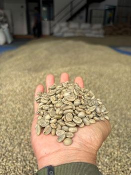 green bean coffee from Indonesia export quality - PT Mandala Rasa Coffe - Indonesia