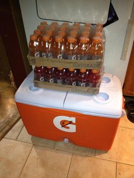 GATORADE SPORT DRINK Top Quality Gatorade G2 Perform Sports Drink Variety Pack 24 x 591 ml from Cheapest Gatorade from PLANETE COMMERCE GATORADE SPORT DRINK Top Quality Gatorade G2 Perform Sports Drink Variety Pack 24 x 591 ml from Cheapest Gatorade - PLANETE COMMERCE - France