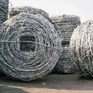 Manufacturer Electro Galvanized Barbed Iron Wire - Anping County Tengde Metal Wire Mesh Products Co., Ltd. - China