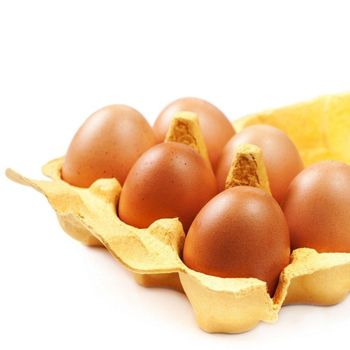 Farm Direct Fresh Table Eggs Supplied In Premium Cartons For International Buyers With Stable Poultry Source from malter group Farm Direct Fresh Table Eggs Supplied In Premium Cartons For International Buyers With Stable Poultry Source - malter group - Tanzania