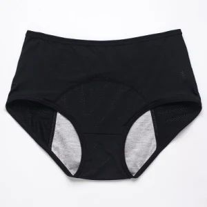 Wholesale Menstrual Seamless Underwear Women Plus Size Period Leak Proof Panties - Skylark Network Co., Ltd. - China