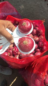 Fresh Vegetables - Rudra Corporation - India