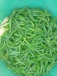 Fresh Green Chilli ,G4 Green Chilli - Sangam Exim - India